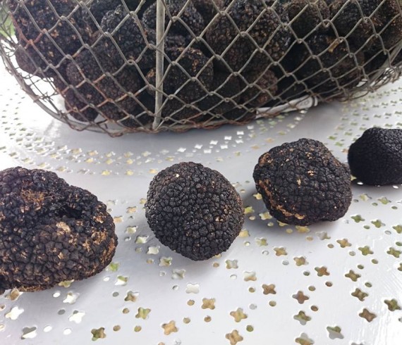truffes et vins